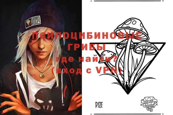 2c-b Белокуриха